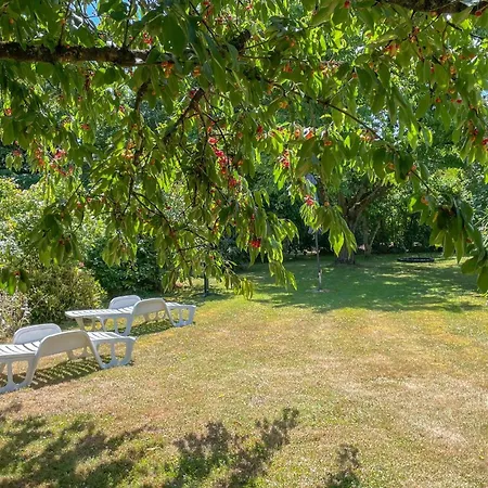 2 Bedroom Cozy In Daire *